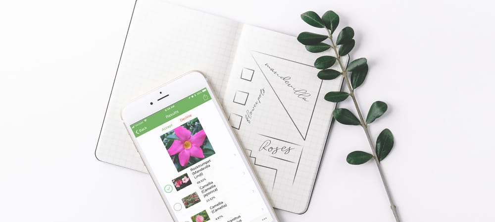 تطبيق PlantSnap للتعرّف على الزهور والأشجار والنباتات عبر التقاط صورة لها