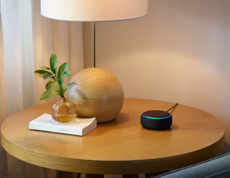 echo dot