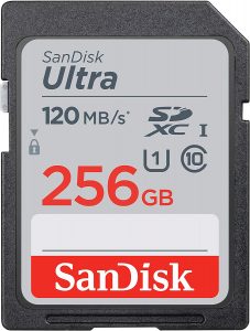 sandisk 256gb